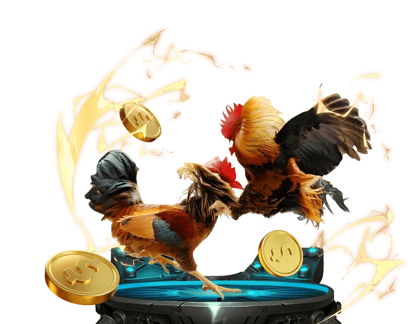 Đá gà Thomo Campuchia tại 98ưin